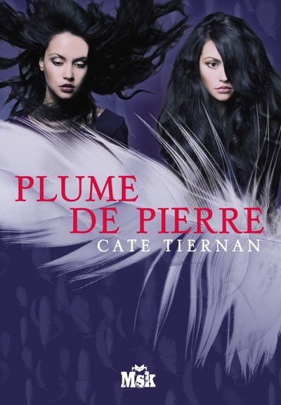 PLUME DE PIERRE