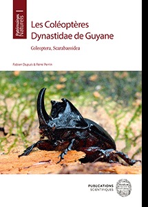 COLEOPTERES DYNASTIDAE DE GUYANE : COLEOPTERA, SCARABAEOIDEA.