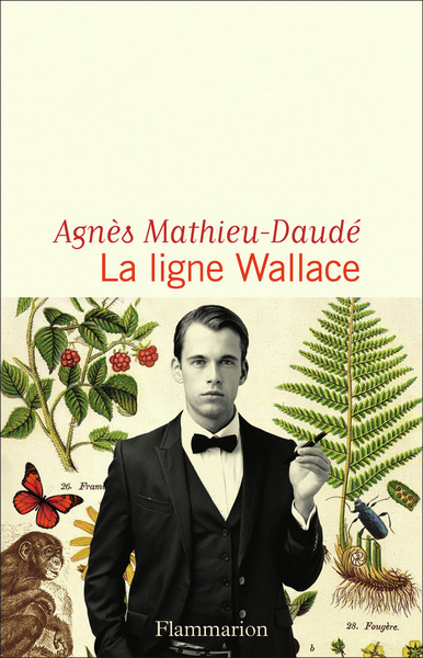 LIGNE WALLACE