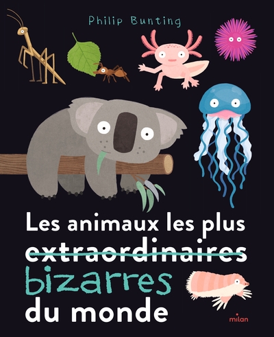 ANIMAUX LES PLUS BIZARRES DU MONDE