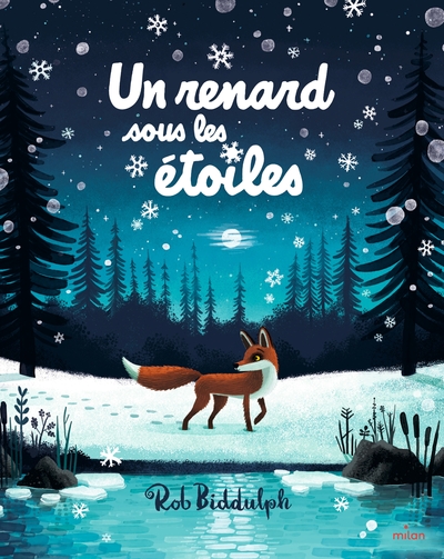 UN RENARD SOUS LES ETOILES