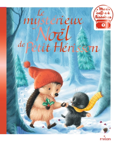 MYSTERIEUX NOEL DE PETIT HERISSON