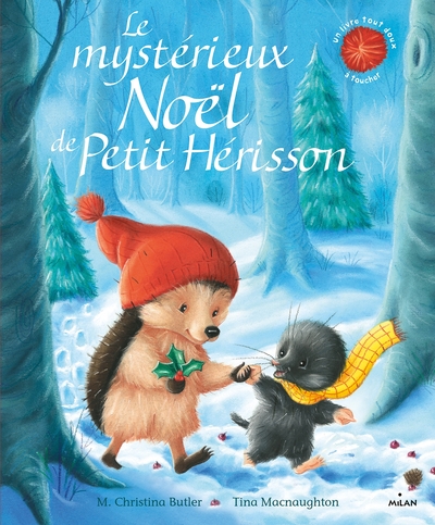 MYSTERIEUX NOEL DE PETIT HERISSON