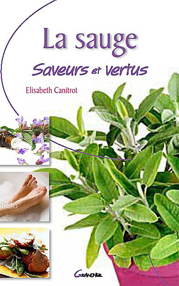 SAUGE SAVEURS ET VERTUS