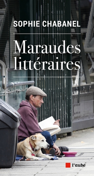 MARAUDES LITTERAIRES