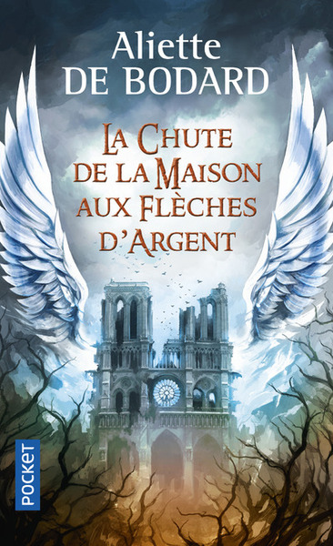 CHUTE DE LA MAISON AUX FLECHES D´ARGENT
