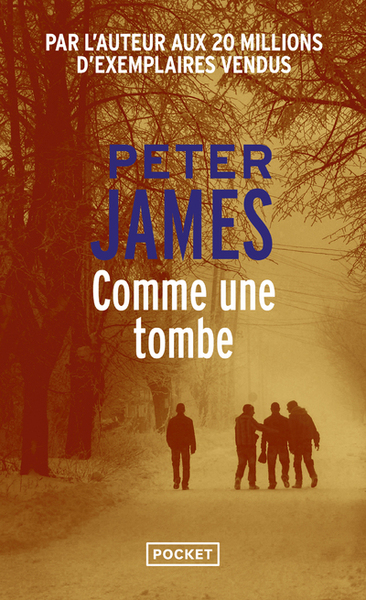 COMME UNE TOMBE