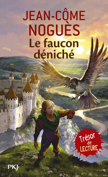 FAUCON DENICHE
