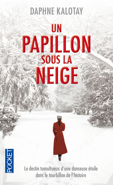 PAPILLON SOUS LA NEIGE