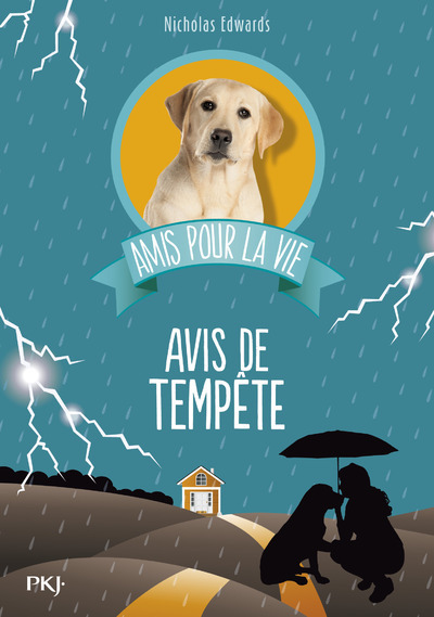 AMIS POUR LA VIE - TOME 2 AVIS DE TEMPETE - VOL02