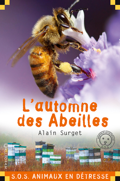 AUTOMNE DES ABEILLES