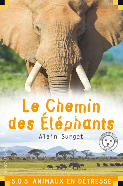 CHEMIN DES ELEPHANTS