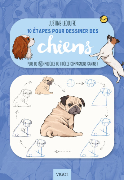 10 ETAPES POUR DESSINER LES CHIENS