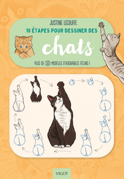 10 ETAPES POUR DESSINER LES CHATS