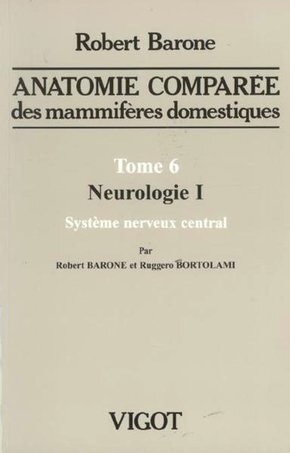 ANATOMIE COMPAREE T6 NEUROLOGIE