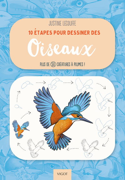 10 ETAPES POUR DESSINER DES OISEAUX - PLUS DE 50 CREATURES A PLUMES ! - ILLUSTRATIONS, COULEUR