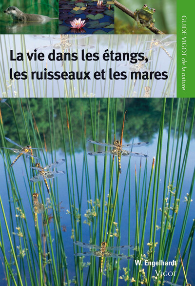 VIE DANS LES ETANGS, RUISSEAUX ET MARES