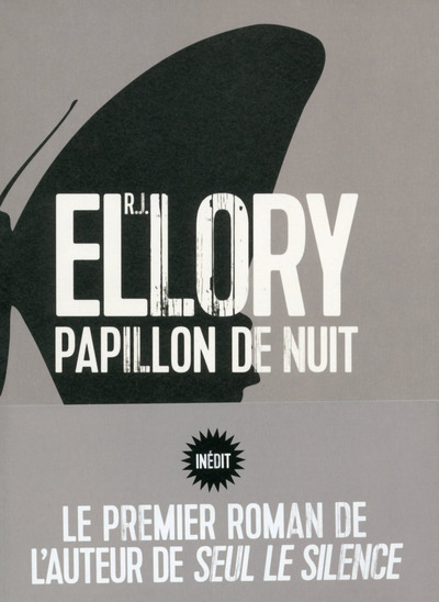 PAPILLON DE NUIT
