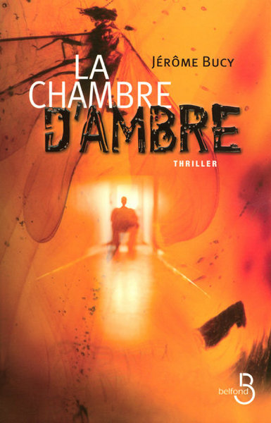 CHAMBRE D'AMBRE