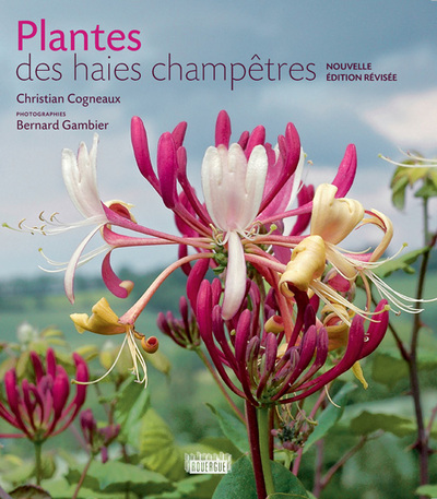 PLANTES DES HAIES CHAMPETRES NE