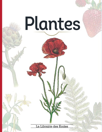 PLANTES