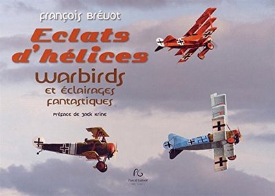 ECLATS D HELICES WARBIRDS ET ECLAIRAGES FANTASTIQUES - AVIONS DES DEUX GUERRES MONDIALES (LES)