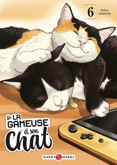 GAMEUSE ET SON CHAT - T06 - LA GAMEUSE ET SON CHAT - VOL. 06