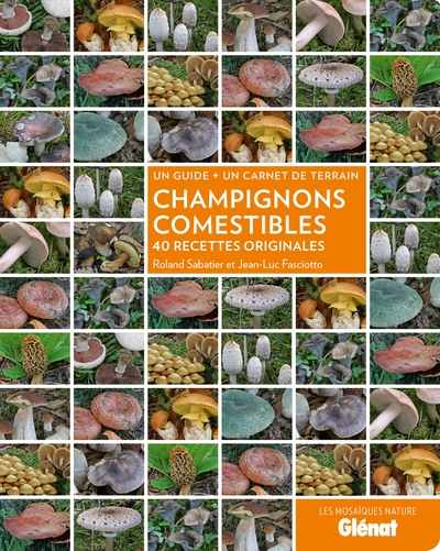 CHAMPIGNONS COMESTIBLES