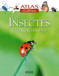 INSECTES ET LES ARACHNIDES