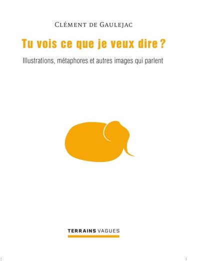 TU VOIS CE QUE JE VEUX DIRE ? - ILLUSTRATIONS, METAPHORES ET AUTRES IMAGES 