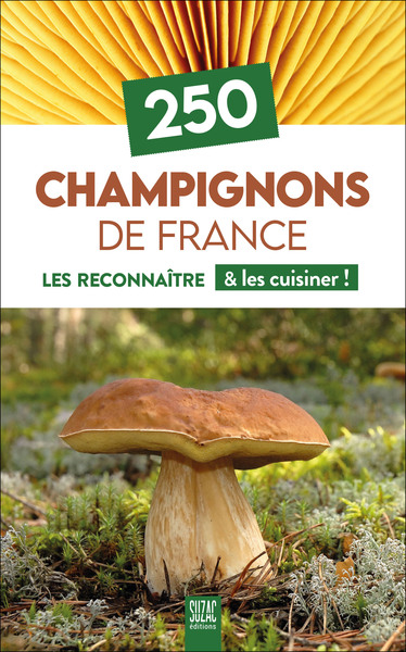 250 CHAMPIGNONS DE FRANCE - LES RECONNAITRE & LES CUISINER !
