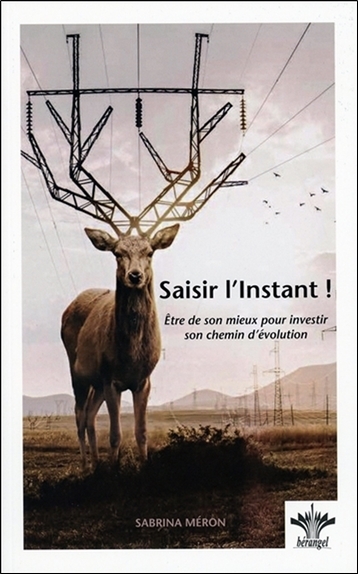 SAISIR L´INSTANT ! ETRE DE SON MIEUX POUR INVESTIR SON CHEMIN D´EVOLUTION