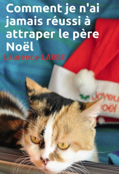 COMMENT JE N´AI JAMAIS REUSSI A ATTRAPER LE PERE NOEL