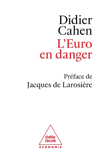 L´EURO EN DANGER