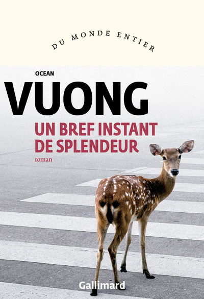 BREF INSTANT DE SPLENDEUR (UN)