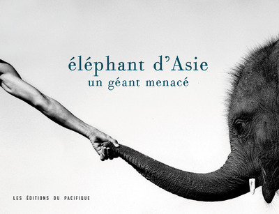 ELEPHANT D'ASIE GEANT MENACE