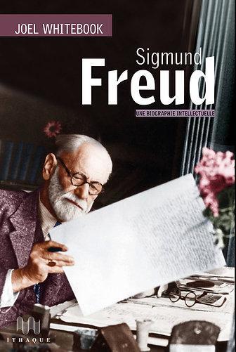 SIGMUND FREUD. UNE BIOGRAPHIE INTELLECTUELLE - "EN FAIT, LE GAILLARD EST UN PEU PLUS COMPLIQUE QUE C