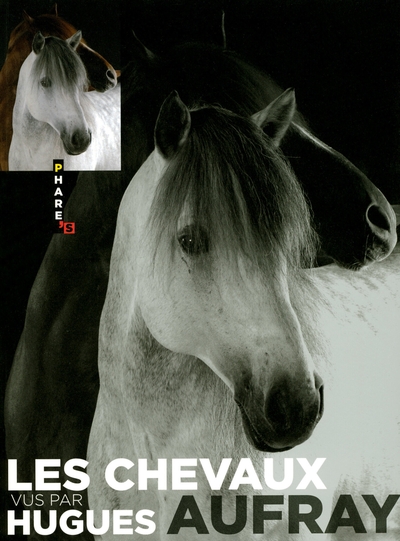 CHEVAUX VUS PAR HUGUES AUFRAY
