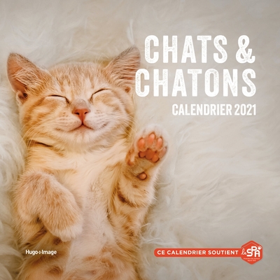 CALENDRIER MURAL CHATS ET CHATONS 2021