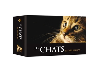 CHATS EN 365 IMAGES