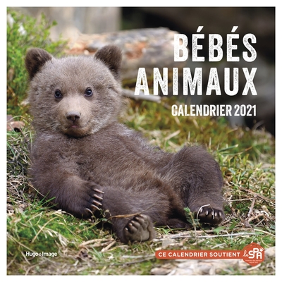 CALENDRIER MURAL BEBES ANIMAUX 2021