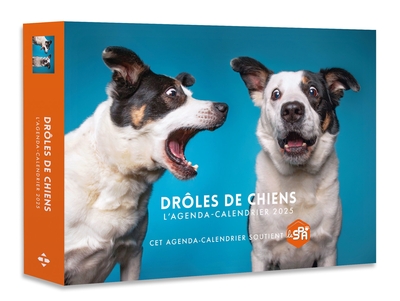 AGENDA - CALENDRIER DROLES DE CHIENS 2025