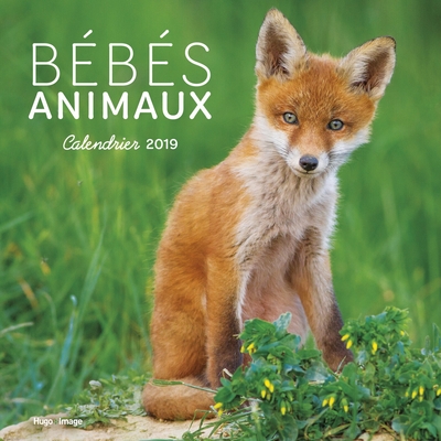 CALENDRIER MURAL BEBES ANIMAUX 2019