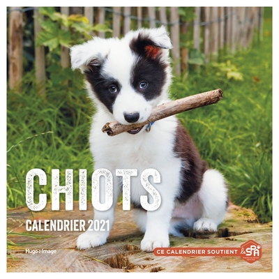 CALENDRIER MURAL CHIOTS 2021