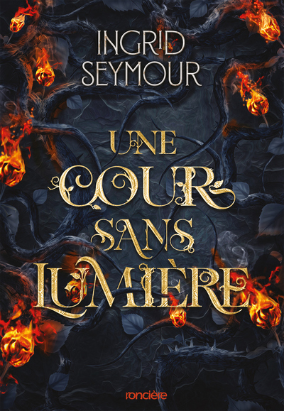 UNE COUR SANS LUMIERE (BROCHE) - VOL03 - LA GUERISSEUSE DE ROYAUMES - TOME 03