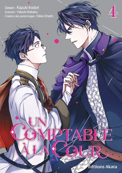 COMPTABLE A LA COUR - TOME 4