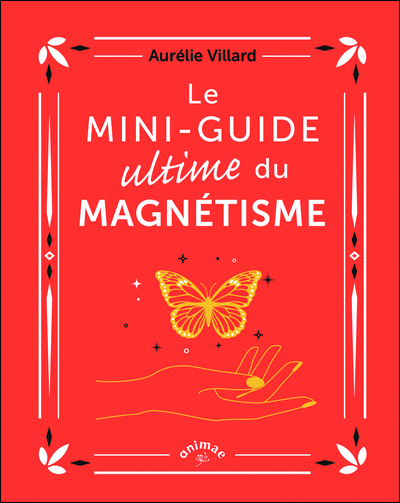 MINI-GUIDE ULTIME DU MAGNETISME