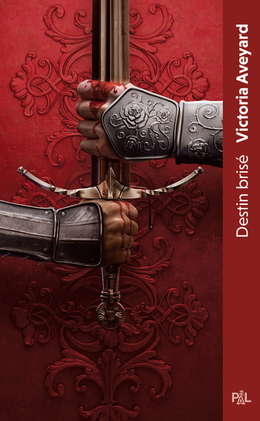 DESTIN BRISE - TOME 3