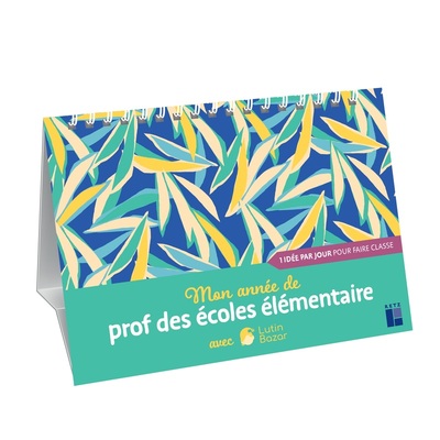 MON ANNEE DE PROF D´ELEMENTAIRE AVEC LUTIN BAZAR