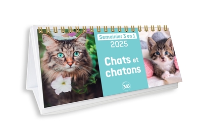 CALENDRIER SEMAINIER 2025 CHATS ET CHATONS